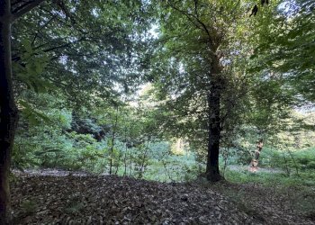 IMG_2911.jpg - Baita Borgata Rossetti, Paesana - photo 9