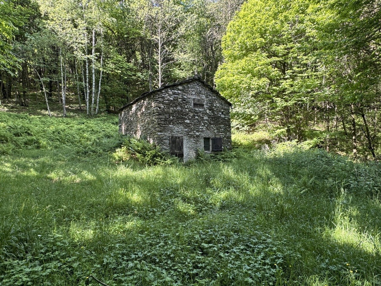 IMG_2116.jpg - Baita Borgata Barra di sotto 5a, Paesana - photo 1