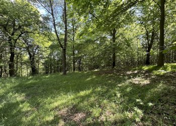 IMG_2106.jpg - Baita Borgata Barra di sotto 5a, Paesana - photo 5