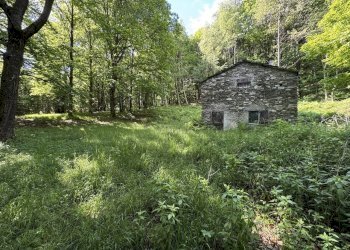 IMG_2115.jpg - Baita Borgata Barra di sotto 5a, Paesana - photo 10