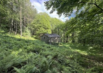 IMG_2124.jpg - Baita Borgata Barra di sotto 5a, Paesana - photo 13