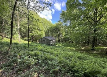 IMG_2126.jpg - Baita Borgata Barra di sotto 5a, Paesana - photo 14