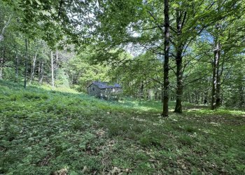 IMG_2130.jpg - Baita Borgata Barra di sotto 5a, Paesana - photo 15