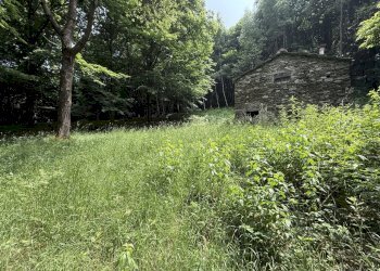 IMG_6119.jpg - Baita Borgata Barra di sotto 5a, Paesana - photo 17