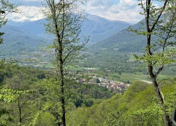 WhatsApp Image 2025-04-30 at 16.30.09 (22).jpeg - Baita Via Castel Grup 10, Martiniana Po - foto 29