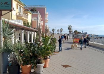 IMG_20241208_115213_107.jpg - Quadrilocale Lungomare Argentina 10, Bordighera - foto 15