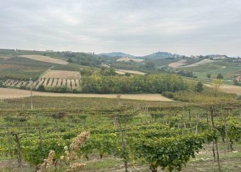 Casa indipendente Isola d'Asti - foto 7