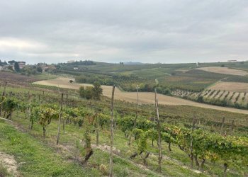 Casa indipendente Isola d'Asti - foto 8