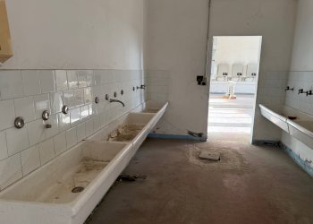 Capannone via Bentivogli, 119, Molinella - foto 24