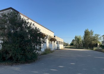 Capannone via Bentivogli, 119, Molinella - foto 5