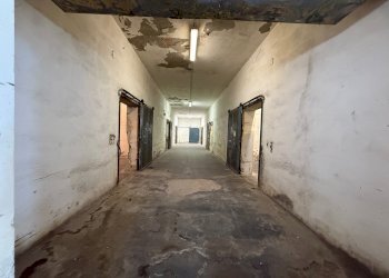 Capannone via Bentivogli, 119, Molinella - foto 21