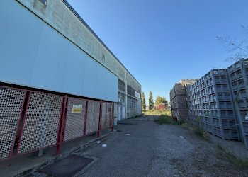 Capannone via Bentivogli, 119, Molinella - foto 8