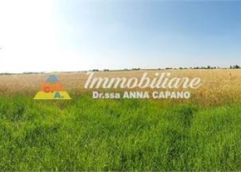 Rustico VIA VIAZZA DESTRA 46, Budrio - foto 10