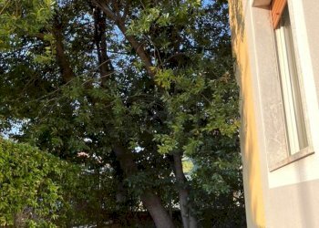 Appartamento Verona (zona Borgo Trento) - foto 23