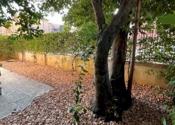 Appartamento Verona (zona Borgo Trento) - foto 24