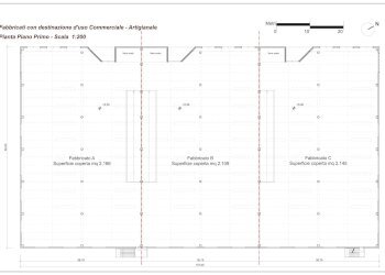 Capannone Alba - foto 3