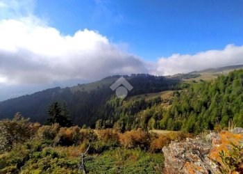 Three-room apartment Frazione Degioz, Valsavarenche - photo 6