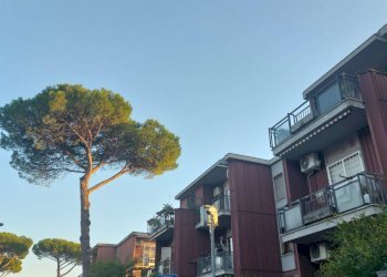 Foto 2 - Trilocale Via Gravina Di Puglia, Roma - foto 2