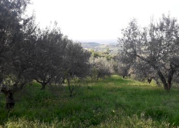 Foto 8 - Terreno edificabile Contrada Foce, Manoppello - foto 8