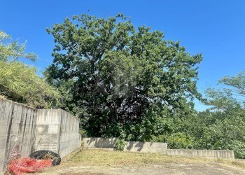 Foto 14 - Terreno edificabile VIA GEROLAMO DE RADA
 
SN, Cosenza - foto 14