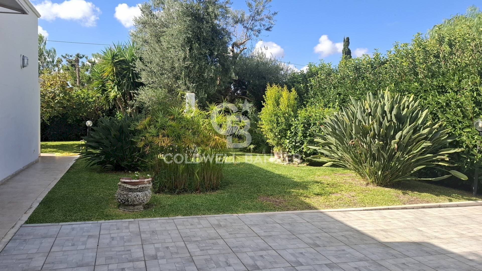 Foto 3 - Villa Contrada Pantanagianni, Carovigno - foto 3