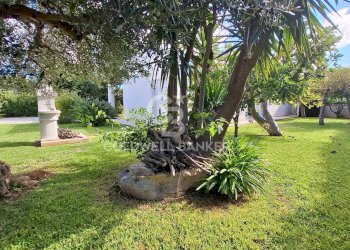 Foto 28 - Villa Contrada Pantanagianni, Carovigno - foto 28