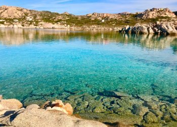 Foto 19 - Bilocale Località Punta Tegge, La Maddalena - foto 19