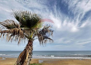 Vista dalla spiaggia - Terreno agricolo Tre Fontane
 
snc, Campobello di Mazara - foto 6
