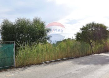 Fronte strada - Terreno agricolo Tre Fontane
 
snc, Campobello di Mazara - foto 11