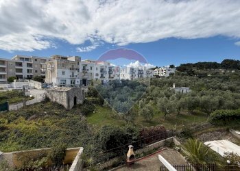 vista dalla veranda - Attico Via Pasquale Soccio
 
1, Vieste - foto 27