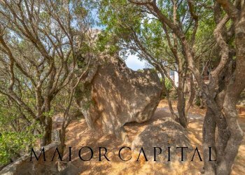 Foto 59 - Villa Via Monte Ladu
snc, Olbia - foto 59