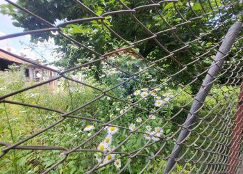 Foto 32 - Rustico via rusca, Villa Guardia - foto 32