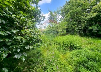 Foto 35 - Rustico via rusca, Villa Guardia - foto 35