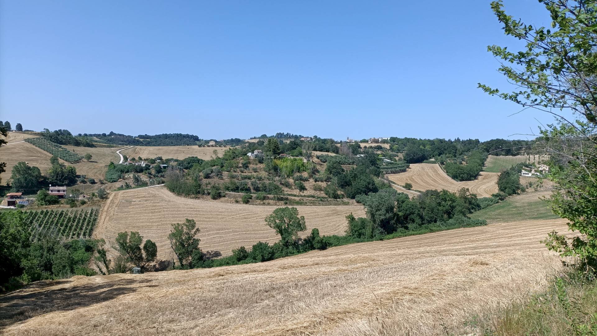 Foto 3 - Terreno agricolo Contrada Valle Scura, Petritoli - foto 3