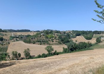 Foto 3 - Terreno agricolo Contrada Valle Scura, Petritoli - foto 3