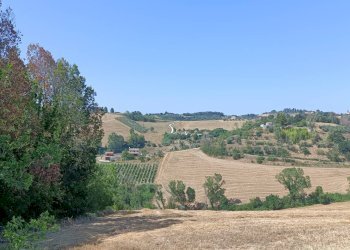 Foto 4 - Terreno agricolo Contrada Valle Scura, Petritoli - foto 4