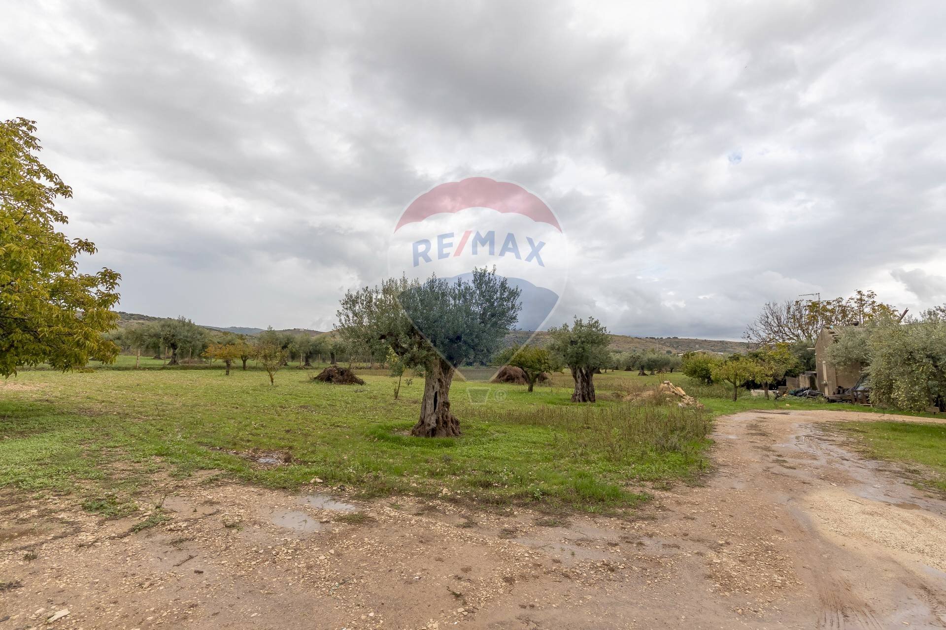 Giardino - Casa indipendente Contrada Piano Mondello
 
4 A, Chiaramonte Gulfi - foto 2