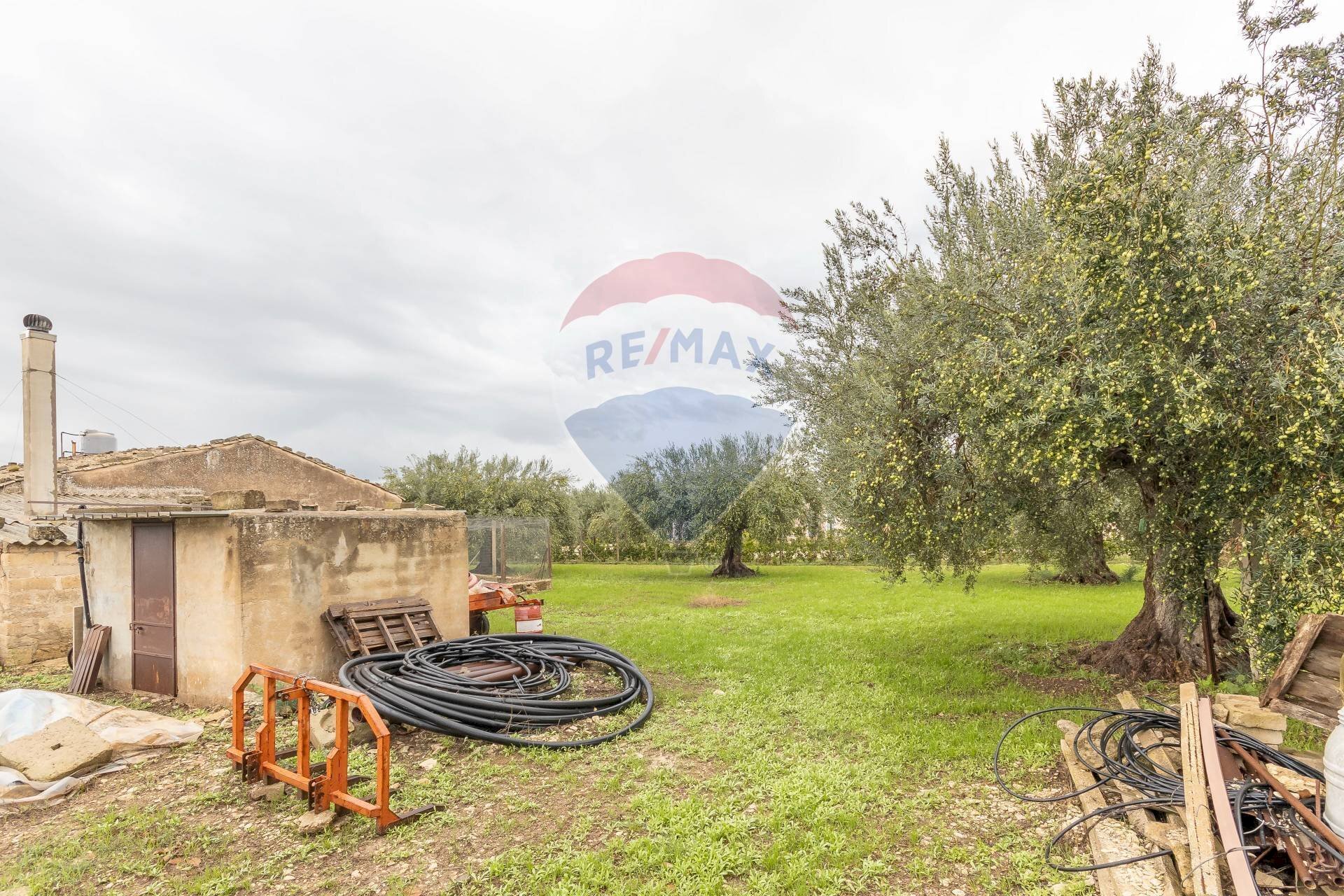 Giardino - Casa indipendente Contrada Piano Mondello
 
4 A, Chiaramonte Gulfi - foto 3