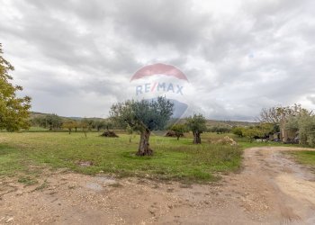Giardino - Casa indipendente Contrada Piano Mondello
 
4 A, Chiaramonte Gulfi - foto 2