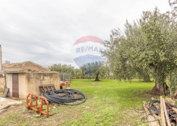 Giardino - Casa indipendente Contrada Piano Mondello
 
4 A, Chiaramonte Gulfi - foto 3
