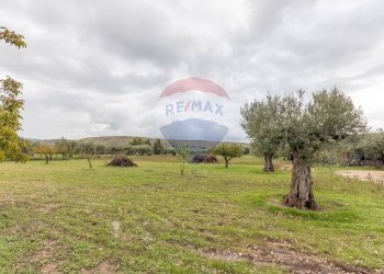 Giardino - Casa indipendente Contrada Piano Mondello
 
4 A, Chiaramonte Gulfi - foto 4