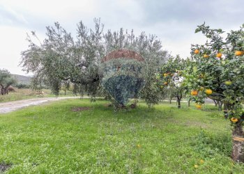 Giardino - Casa indipendente Contrada Piano Mondello
 
4 A, Chiaramonte Gulfi - foto 16