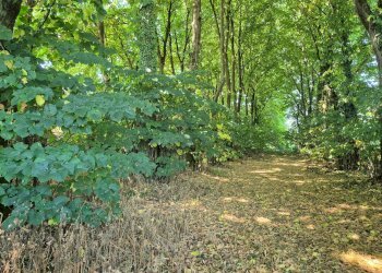 Foto 22 - Rustic Via San Giovanni
 
SNC, Vigevano - photo 22