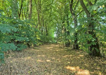 Foto 23 - Rustic Via San Giovanni
 
SNC, Vigevano - photo 23