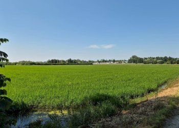 Foto 24 - Rustic Via San Giovanni
 
SNC, Vigevano - photo 24