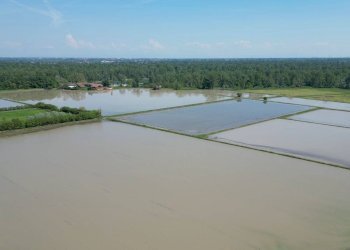 Foto 28 - Rustic Via San Giovanni
 
SNC, Vigevano - photo 28