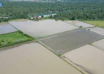 Foto 29 - Rustic Via San Giovanni
 
SNC, Vigevano - photo 29