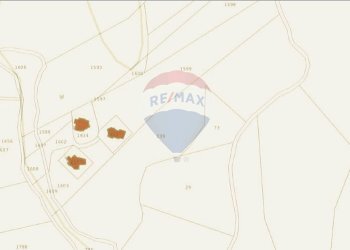 Pianta 2D - Agricultural land Domus De Maria - photo 4