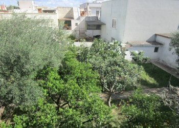 Terreno - Quadrilocale via delle Sorgenti, Statte - foto 21