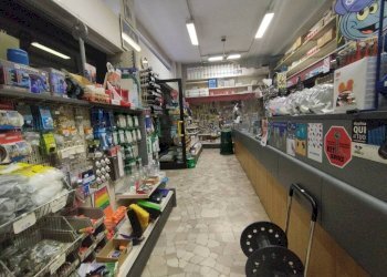 Interno non residenziale - Colorificio - Ferramenta - Elettricità via Achille Ratti, Rho - foto 5